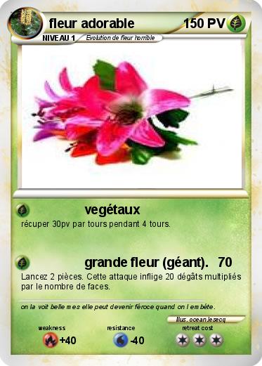 Pokemon fleur adorable