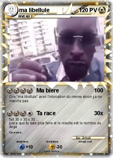 Pokemon ma libellule