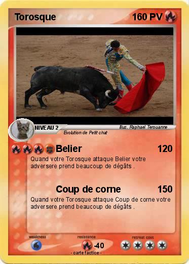 Pokemon Torosque