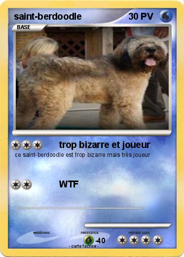 Pokemon saint-berdoodle