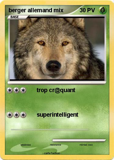 Pokemon berger allemand mix