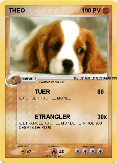 Pokemon THEO