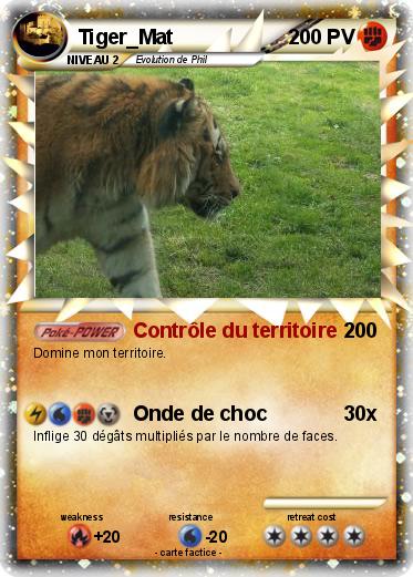 Pokemon Tiger_Mat