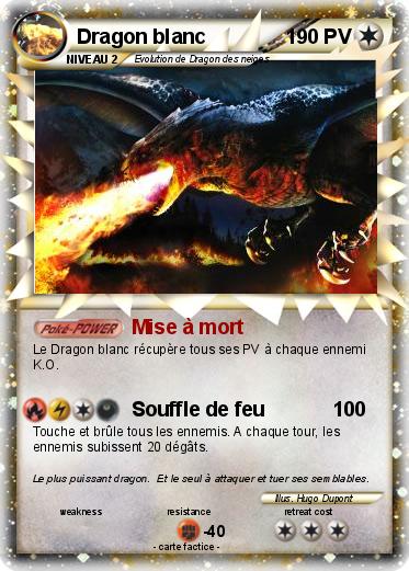 Pokemon Dragon blanc