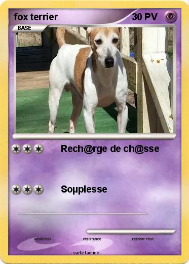 Pokemon fox terrier