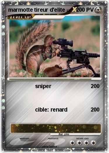 Pokemon marmotte tireur d'elite