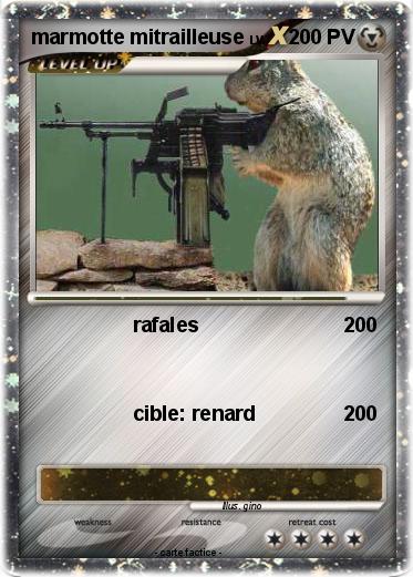 Pokemon marmotte mitrailleuse