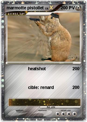 Pokemon marmotte pistollet
