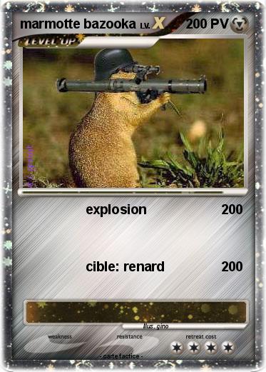 Pokemon marmotte bazooka