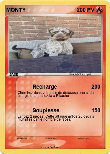 Pokemon MONTY
