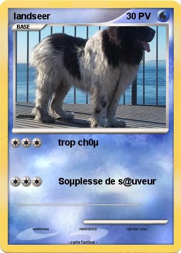 Pokemon landseer