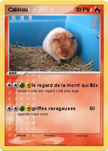 Pokemon Calinou