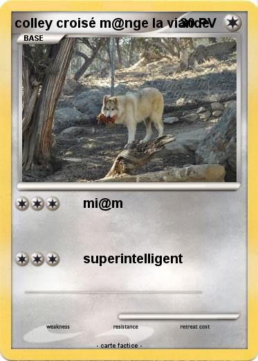 Pokemon colley croisé m@nge la viande