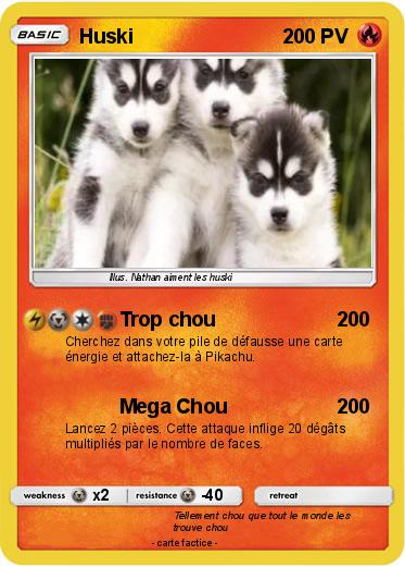 Pokemon Huski