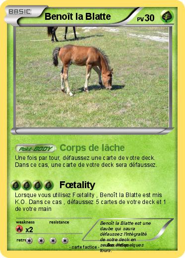 Pokemon Benoît la Blatte