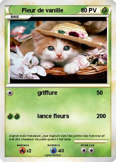 Pokemon Fleur de vanille