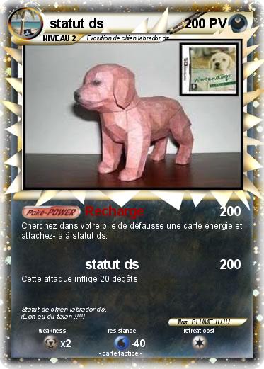 Pokemon statut ds