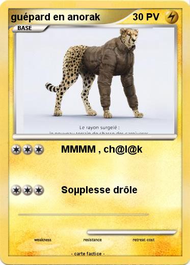 Pokemon guépard en anorak
