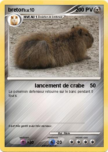 Pokemon breton