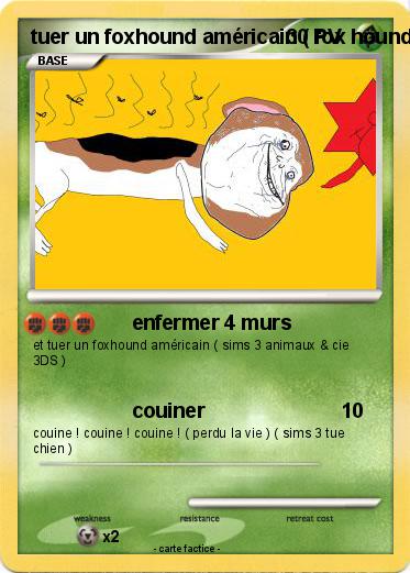 Pokemon tuer un foxhound américain ( fox hound )