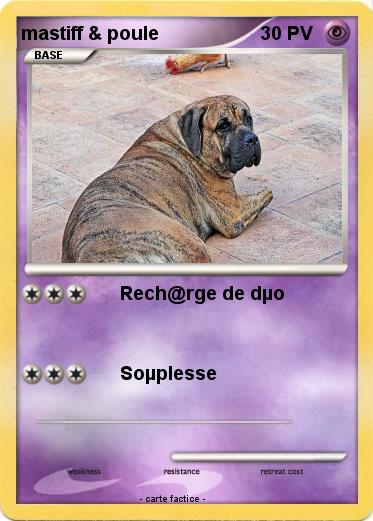 Pokemon mastiff & poule