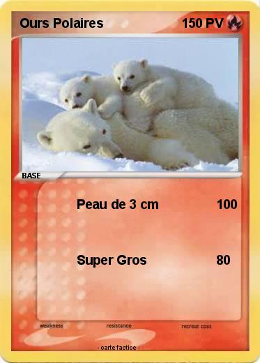 Pokemon Ours Polaires