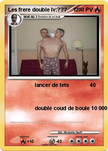 Pokemon Les frere double lv:???    1