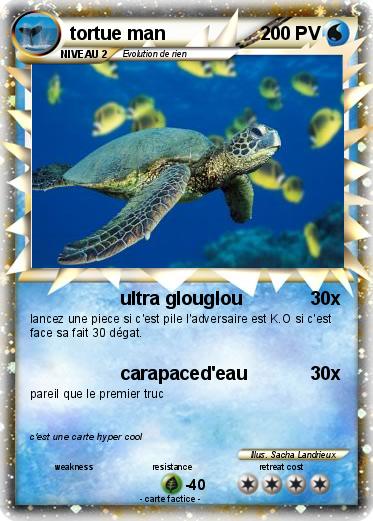 Pokemon tortue man