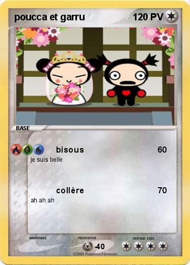 Pokemon poucca et garru 