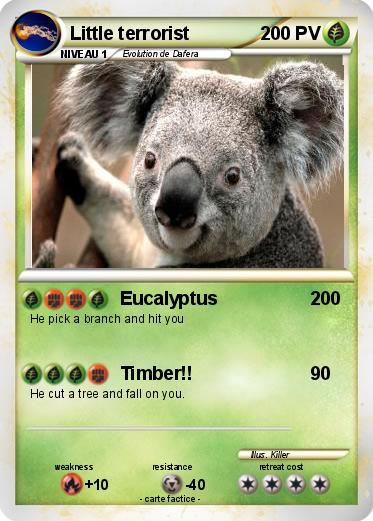 Pokemon Little terrorist