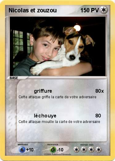 Pokemon Nicolas et zouzou 