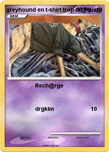 Pokemon greyhound en t-shirt trop cr@quant