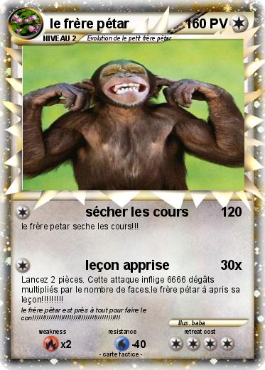 Pokemon le frère pétar