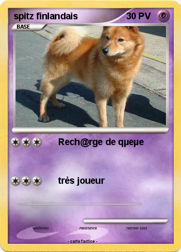 Pokemon spitz finlandais