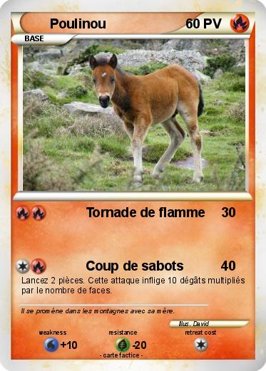 Pokemon Poulinou