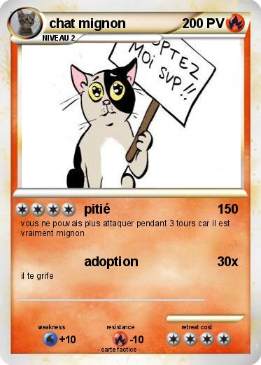 Pokemon chat mignon