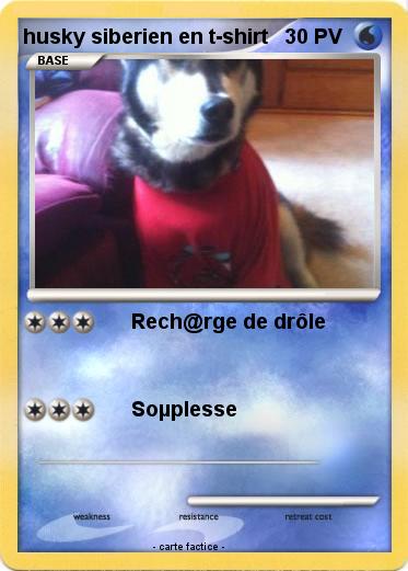 Pokemon husky siberien en t-shirt