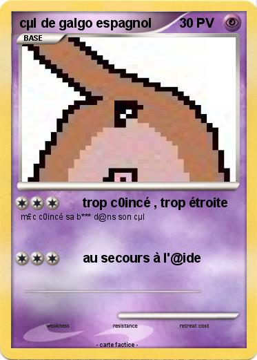 Pokemon cµl de galgo espagnol