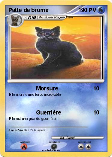 Pokemon Patte de brume