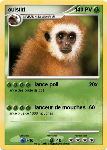 Pokemon ouistiti