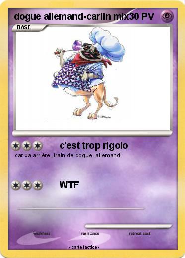 Pokemon dogue allemand-carlin mix