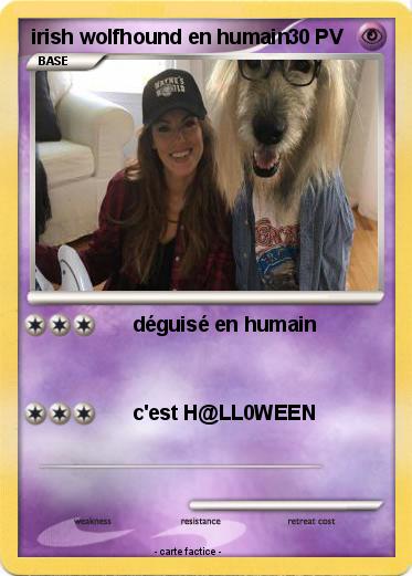 Pokemon irish wolfhound en humain