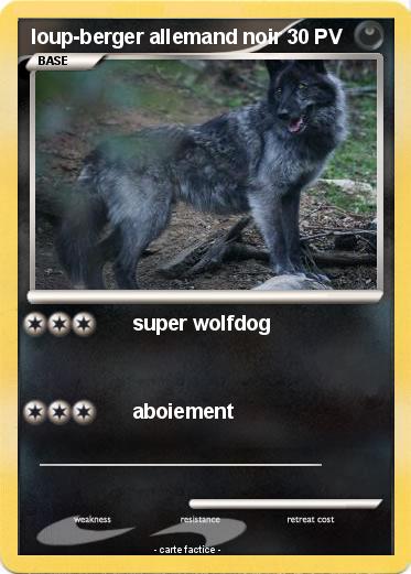 Pokemon loup-berger allemand noir