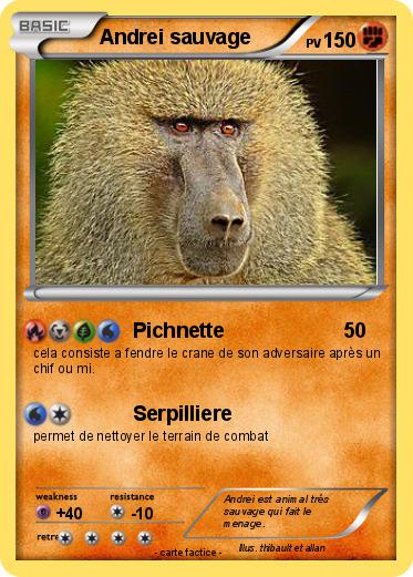 Pokemon Andrei sauvage