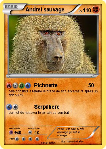 Pokemon Andrei sauvage