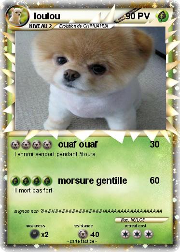 Pokemon loulou