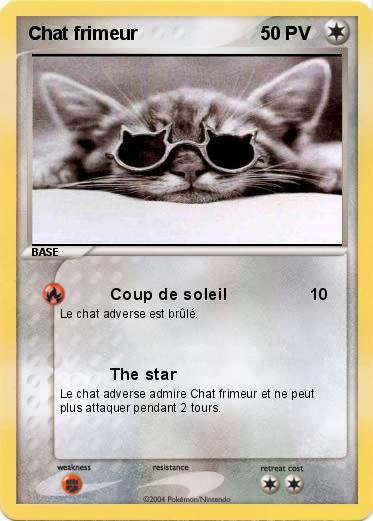 Pokemon Chat frimeur