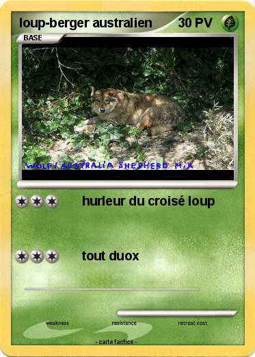 Pokemon loup-berger australien
