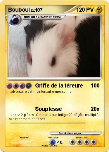 Pokemon Bouboul