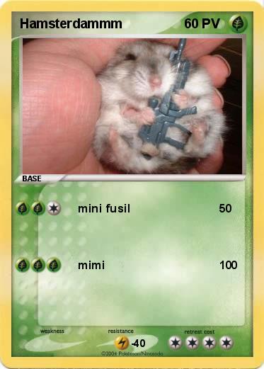 Pokemon Hamsterdammm